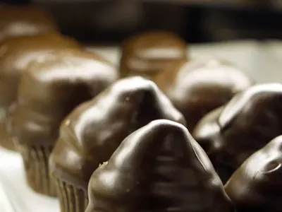 Chocolate bumpy cupcakes in the display case of Morning Glory in Grosse Pointe Farms