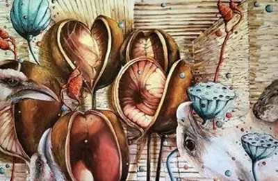 Image: Laura Macintyre: Natural History Curiosities