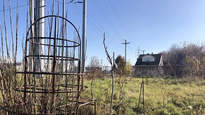 In 2007, inspectors found an alarming amount of lead in the soil at Bridgeview Park in the shadow of the sprawling Marathon Oil refinery in Southwest Detroit.