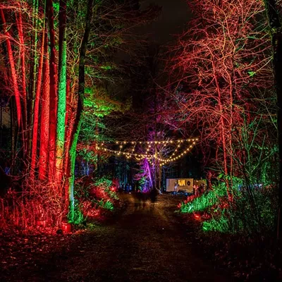 Image: Let’s take a tour of the new Glenlore Trails ‘Aurora’ winter attraction