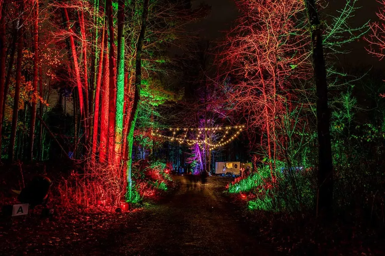 Image: Let’s take a tour of the new Glenlore Trails ‘Aurora’ winter attraction