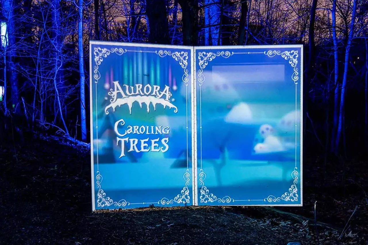 Image: Let’s take a tour of the new Glenlore Trails ‘Aurora’ winter attraction