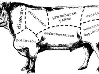 Image: Meat of the matter