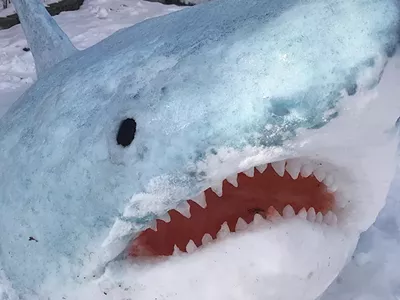 Image: Metro Detroit art teacher is turning heads with her wintry masterpieces