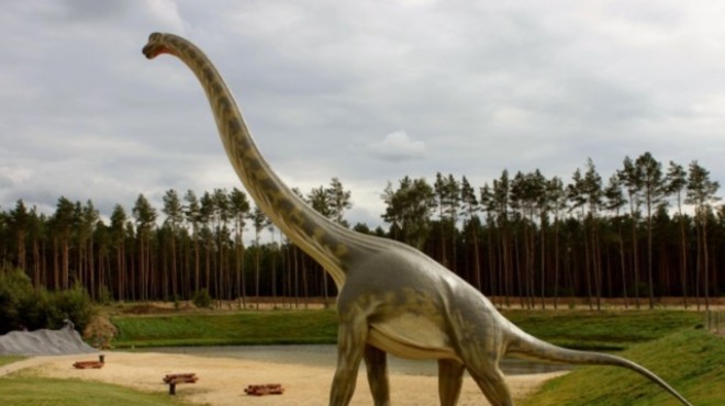 What happens when a Brontosaurus gets a sore throat?