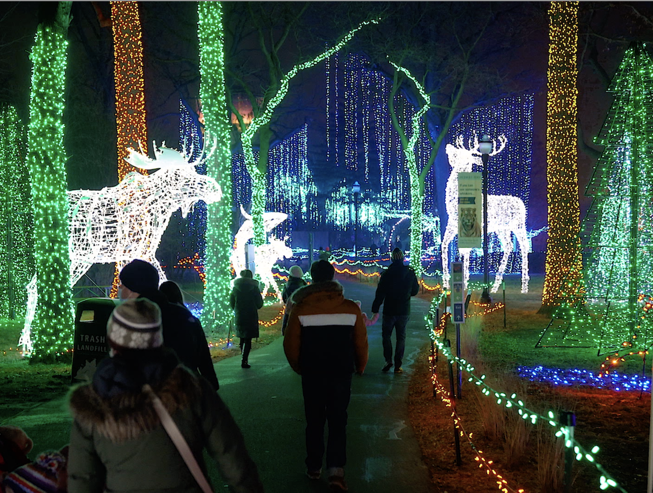 Wild Lights at the Detroit Zoo
Bundle up for the Detroit Zoo’s annual holiday light show with nearly 500 displays of LED lights covering trees, buildings, and sculptures. While you probably won’t see any actual animals, there are tons of light-up animal sculptures to enjoy. Plus, you can visit Wild Lights Lodge for live entertainment, smores, and more. Wild Lights runs through early January on weekends and select weeknights. 
