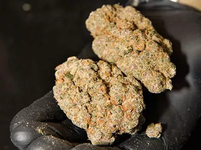 Image: Michigan communities are raking in benefits of legalized weed