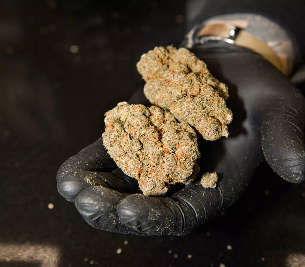 Image: In the green: In 2023, licensed dispensaries rang up a record $3.06 billion in sales, a 25% increase over 2022.
