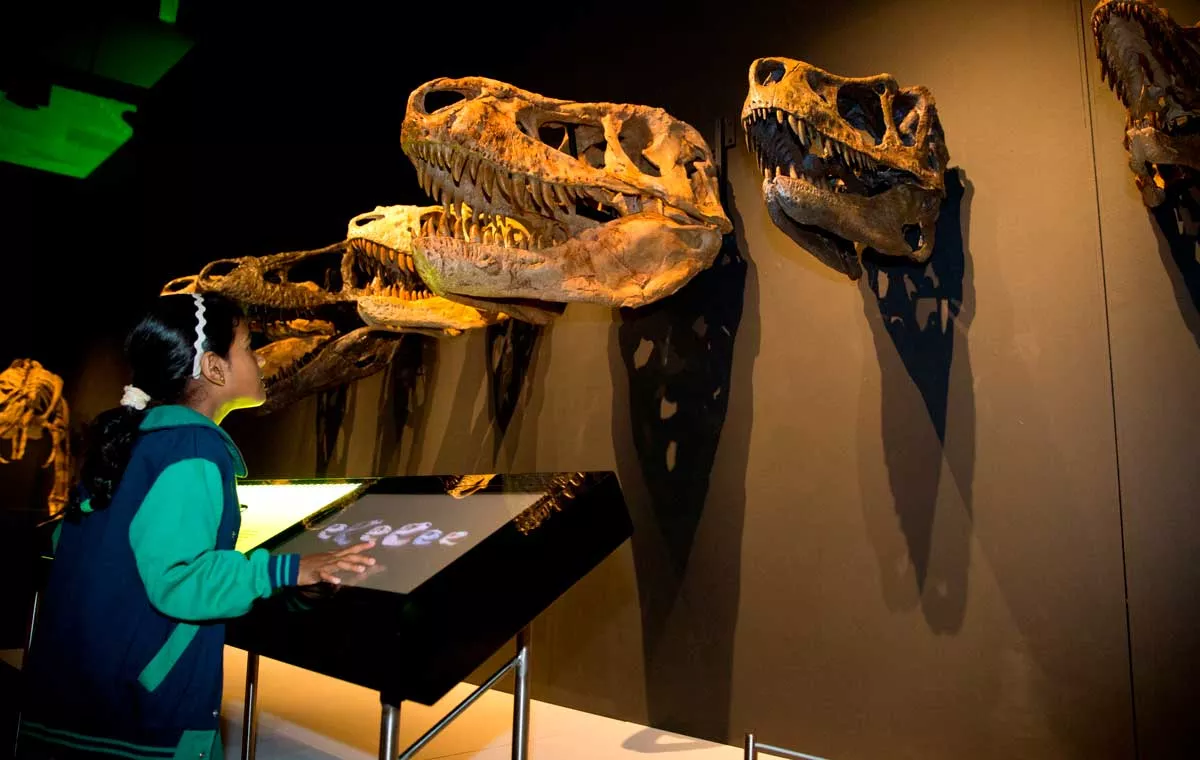 Image: At Mi-Sci’s Tyrannosaurs – Meet the Family, you can get face-to-face with a T. rex.