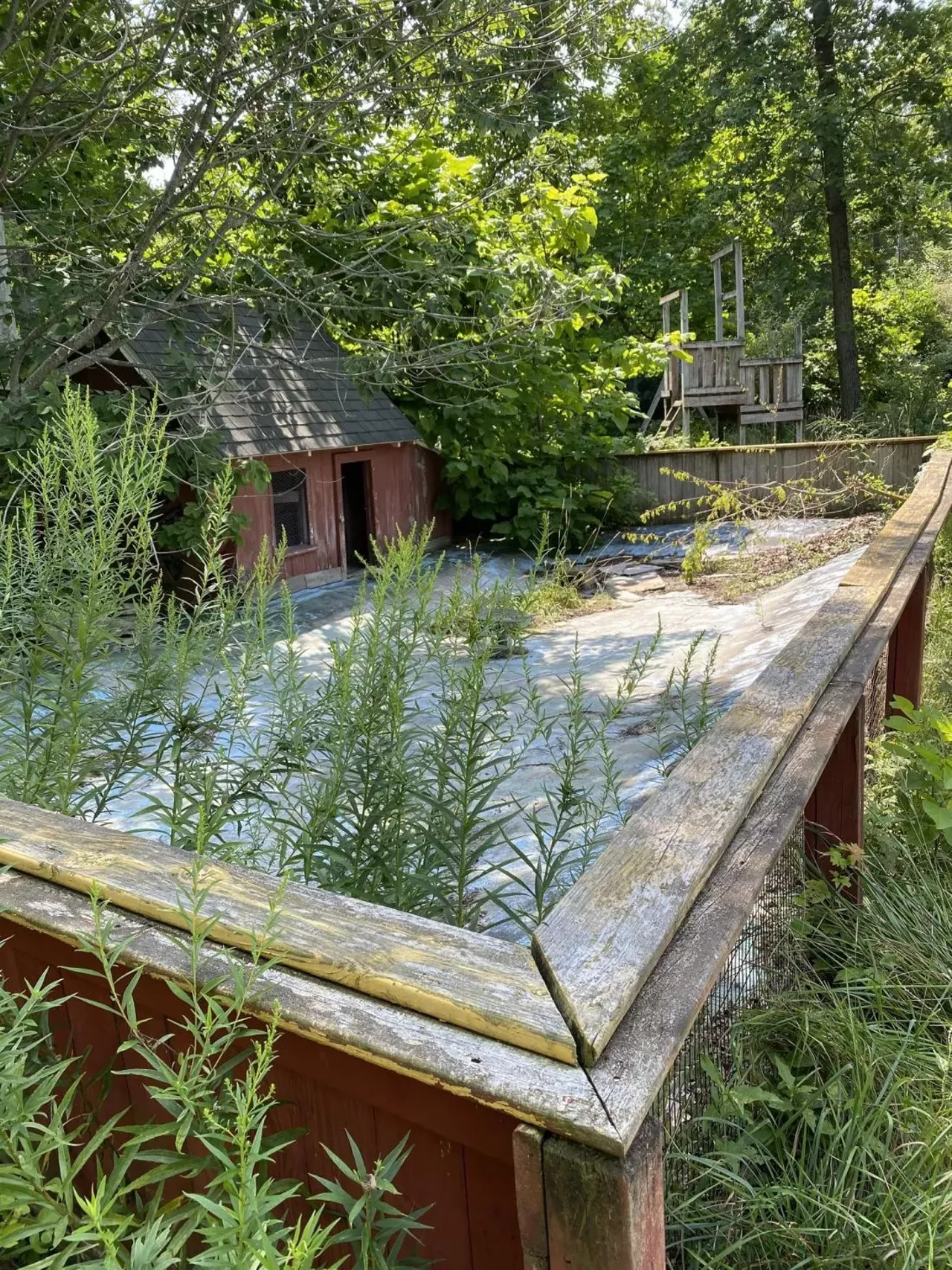 Image: Michigan's abandoned Deer Forest Fun Park is up for auction &#151; let's take a tour