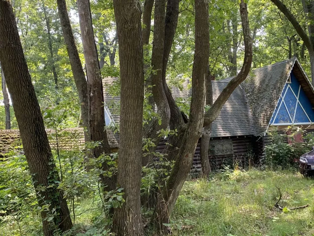 Image: Michigan's abandoned Deer Forest Fun Park is up for auction &#151; let's take a tour