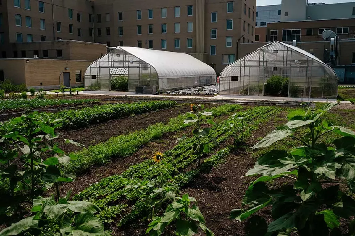 Image: The Farm at Trinity Health Pontiac.