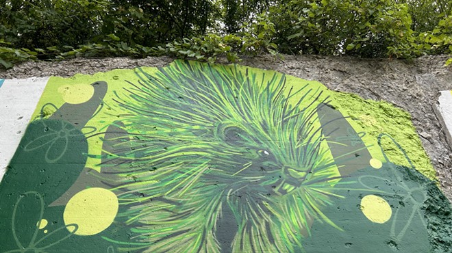 A porcupine is one of eight species that will be featured on the mural along the Dequindre Cut.