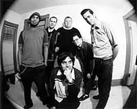 Mustard Plug - Photo / Mustard Plug