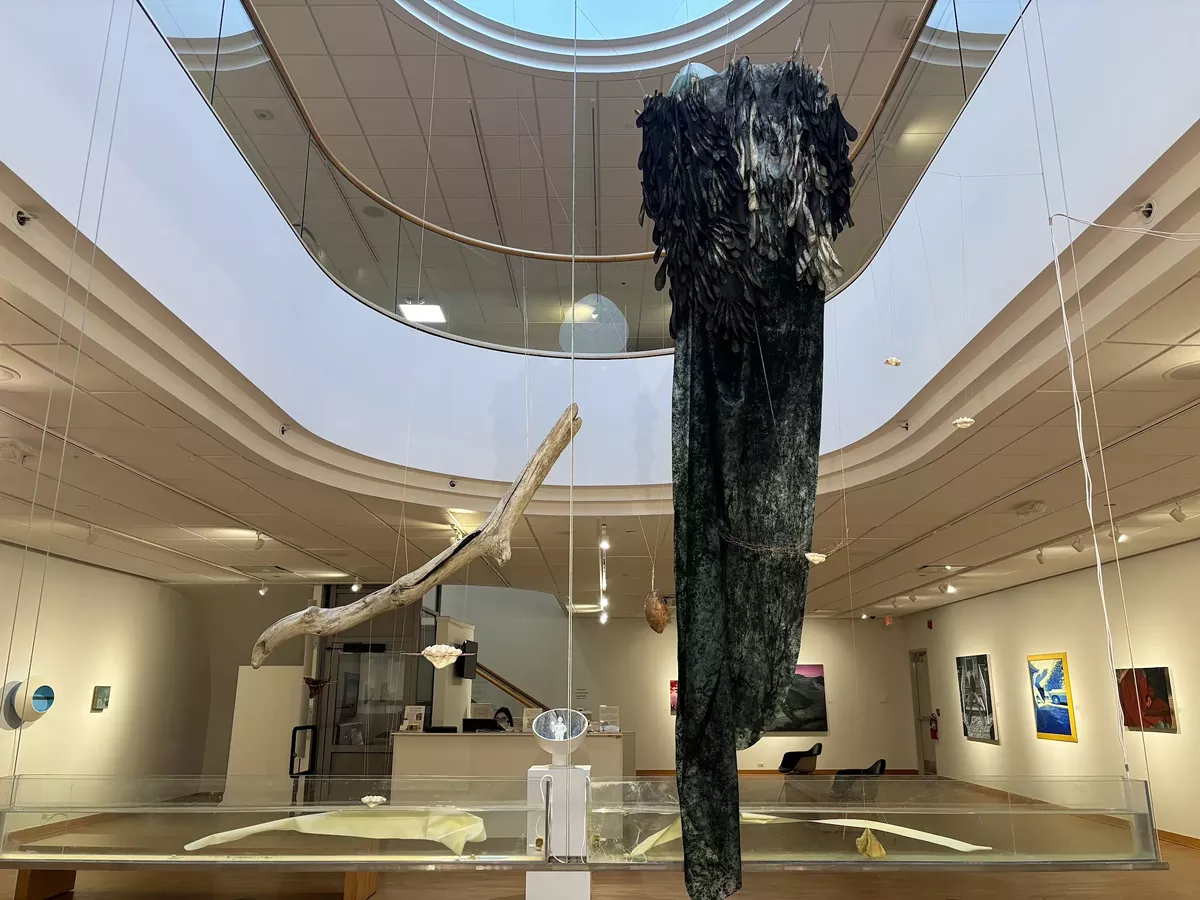 Image: alexandra virginia martin’s “Pregnant Sigh” installation utilizes latex, water, wood, silicone, and turtle shells.