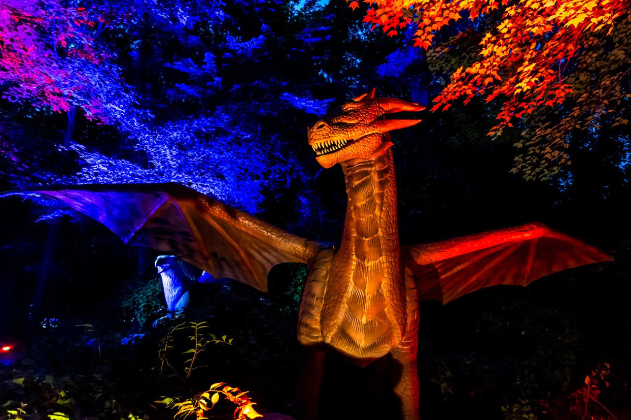 New fantasy experience 'Mythical Forest' opens in Clarkston