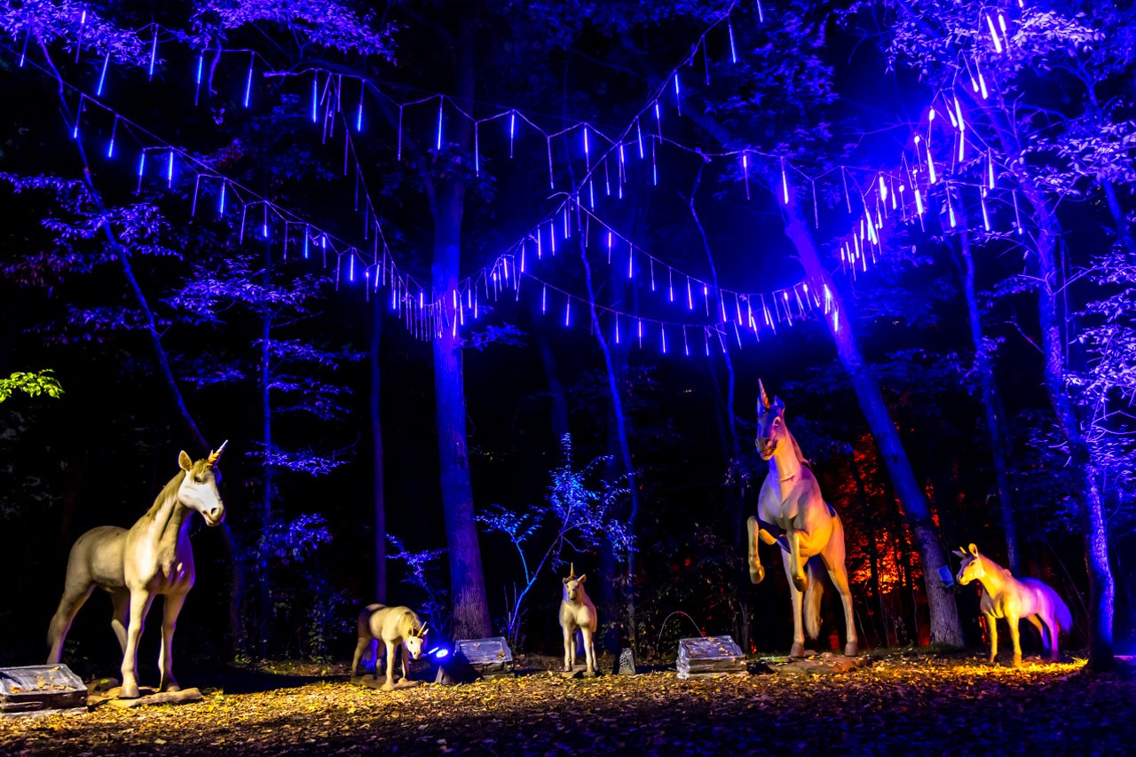 New fantasy experience 'Mythical Forest' opens in Clarkston