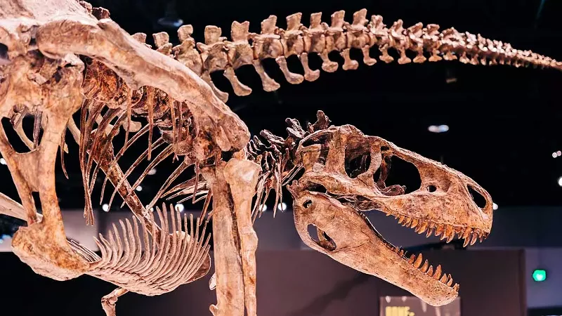 Image: Michigan Science Center’s T. rex exhibition extended again (2)
