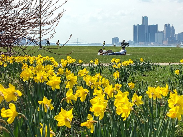If the Detroit Grand Prix leaves Belle Isle, springtime on the island will be quiet and gorgeous again.