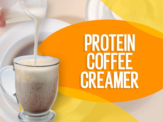 Best Protein Coffee Creamers in 2022 (4)