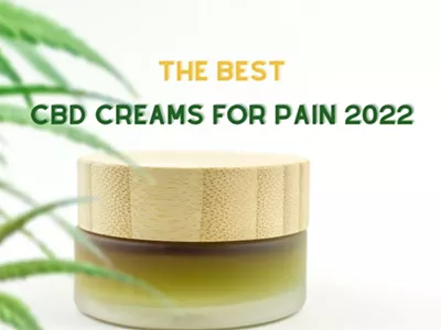 Image: Best CBD Creams and Lotions for Pain - Autumn Overview 2022