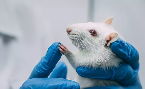 The University of Michigan was cited for botching the euthanasia of mice.