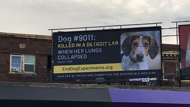 One of four billboards displayed in Detroit as part of a campaign calling on Wayne State University to end experiments on dogs.