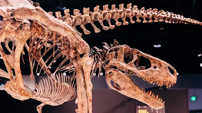 Image: Michigan Science Center’s T. rex exhibition extended again (2)