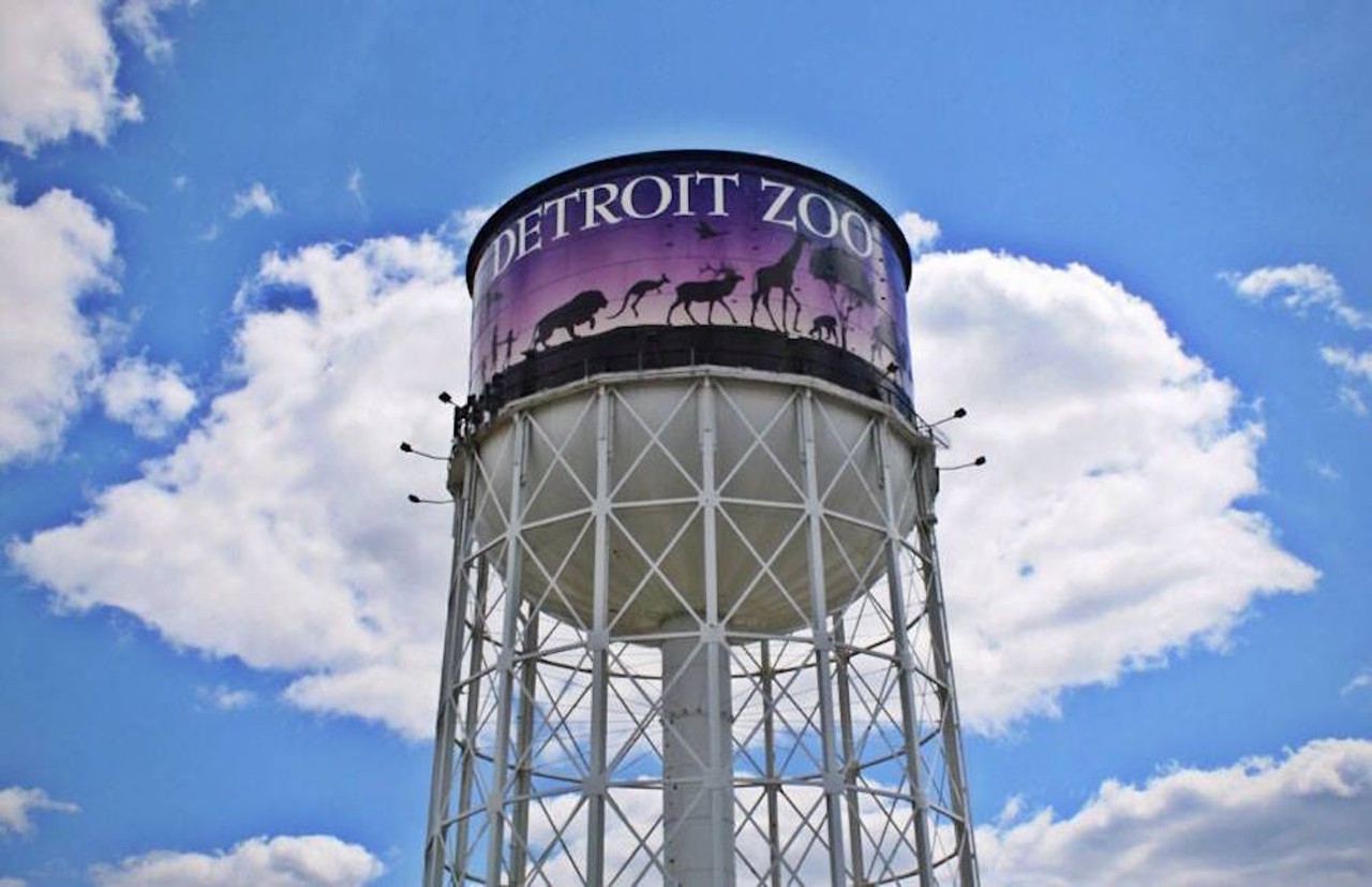 
Where to go: The Detroit Zoo
What to do: See the animals
Why it made the list: The Detroit Zoo is the perfect way to spend a summer afternoon. It&#146;s beautiful, has dozens of animals, and is home to a brand new Penguinarium. 
Photo: The Detroit Zoo Facebook