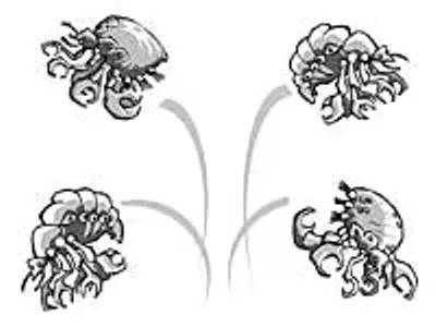 Image: Of lice and libel