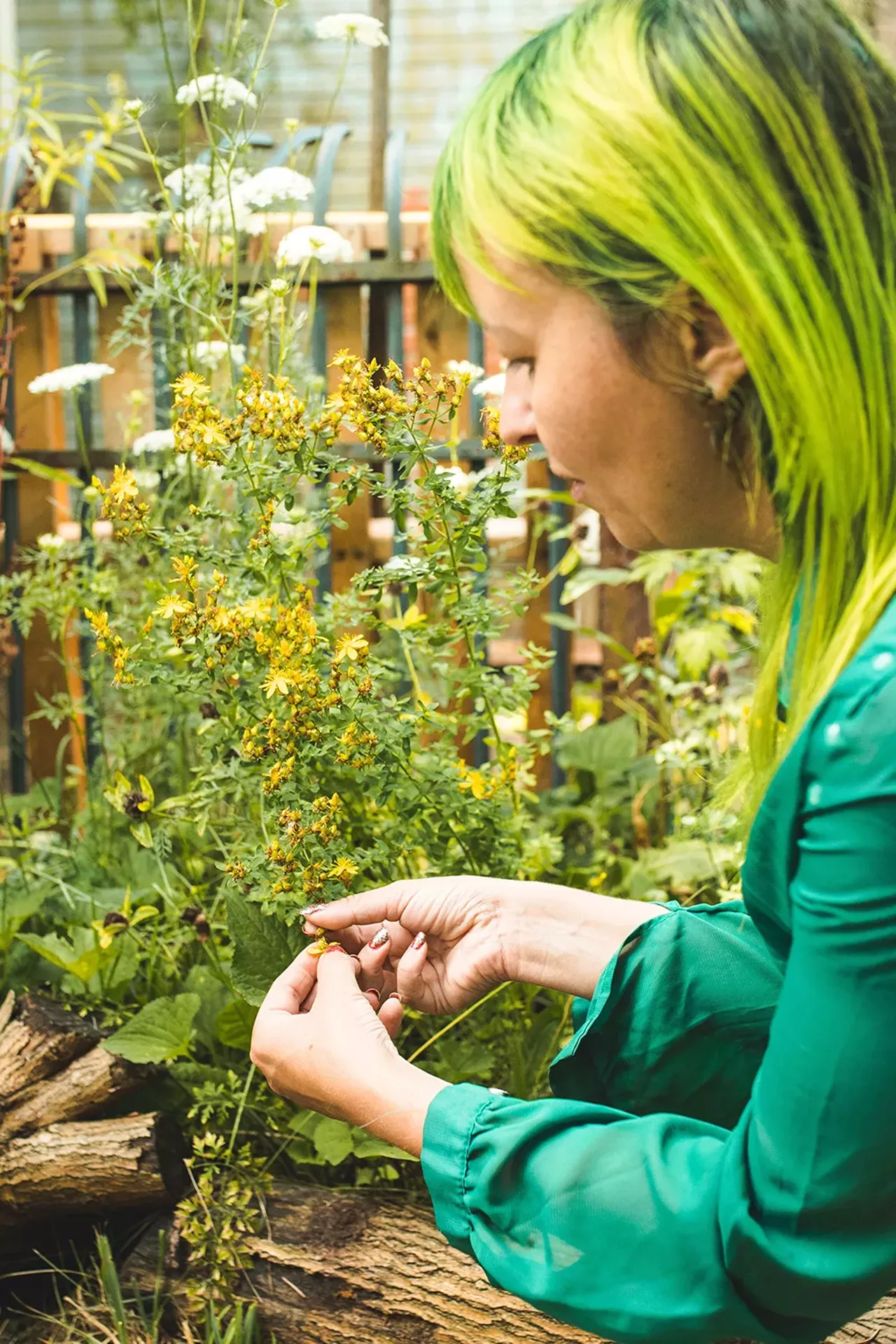 Image: Photos from an‘Herbal Walk &amp; Talk’ tour in Detroit and an herbal medicine class in Hamtramck