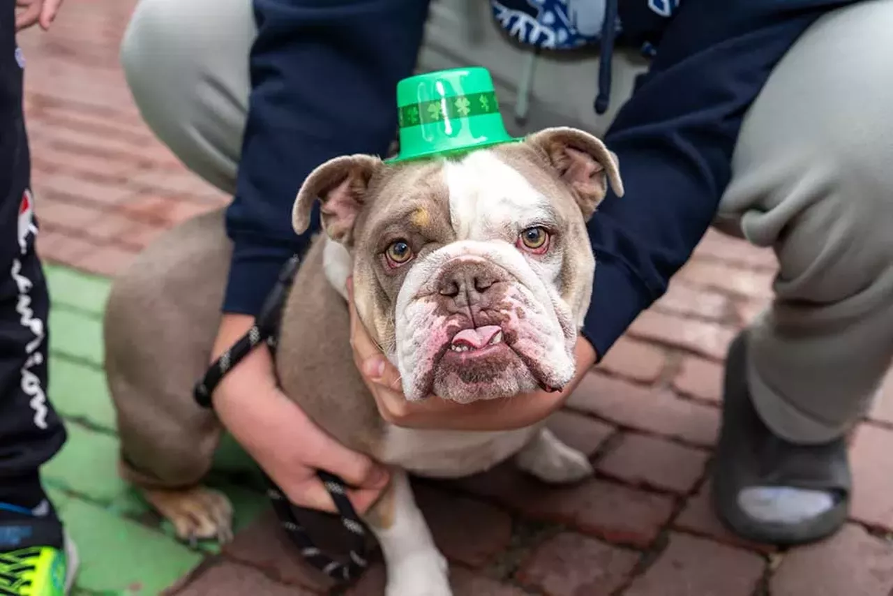 Image: Photos from Corktown’s 67th St. Patrick’s Day Parade