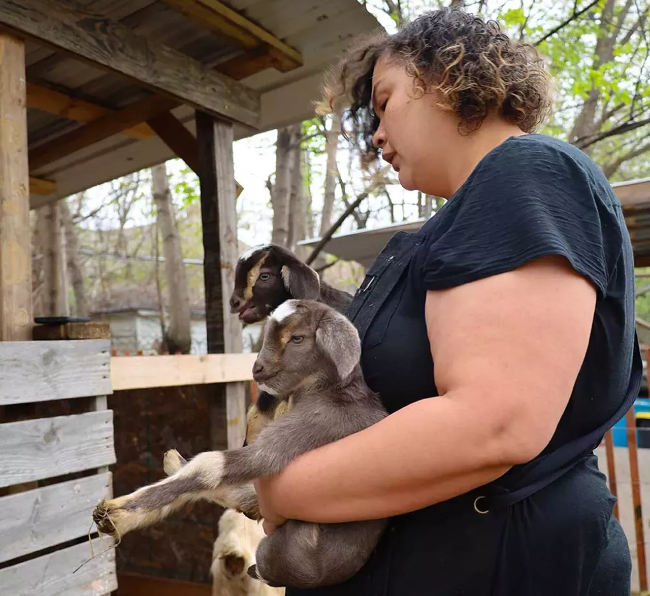 Image: Photos from Detroit Farm and Cider