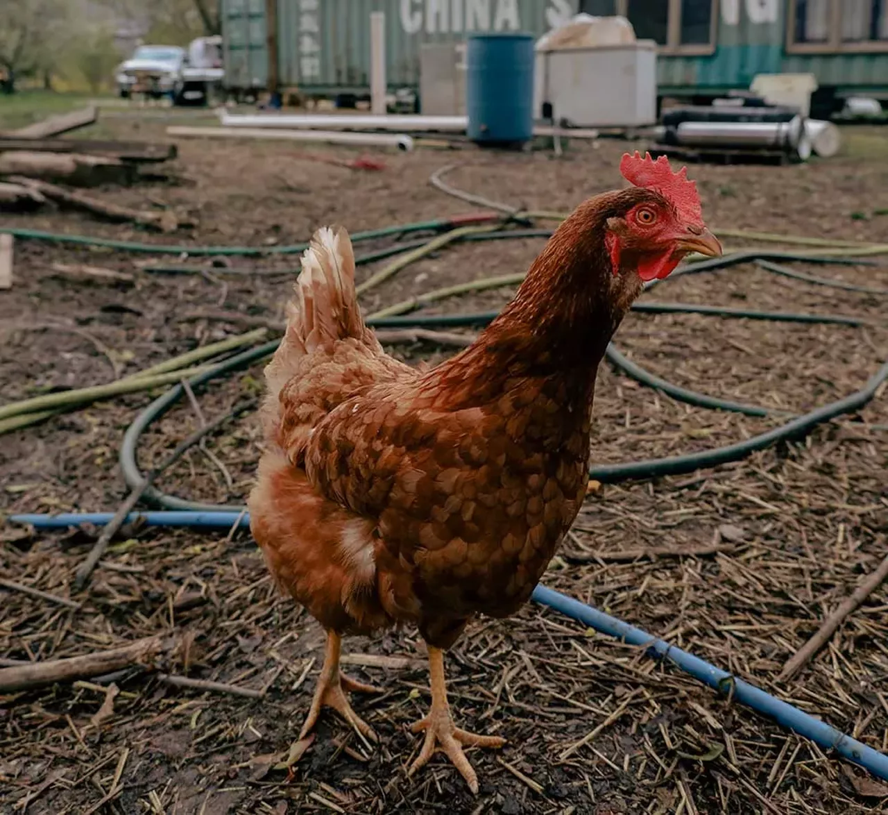 Image: Photos from Detroit Farm and Cider