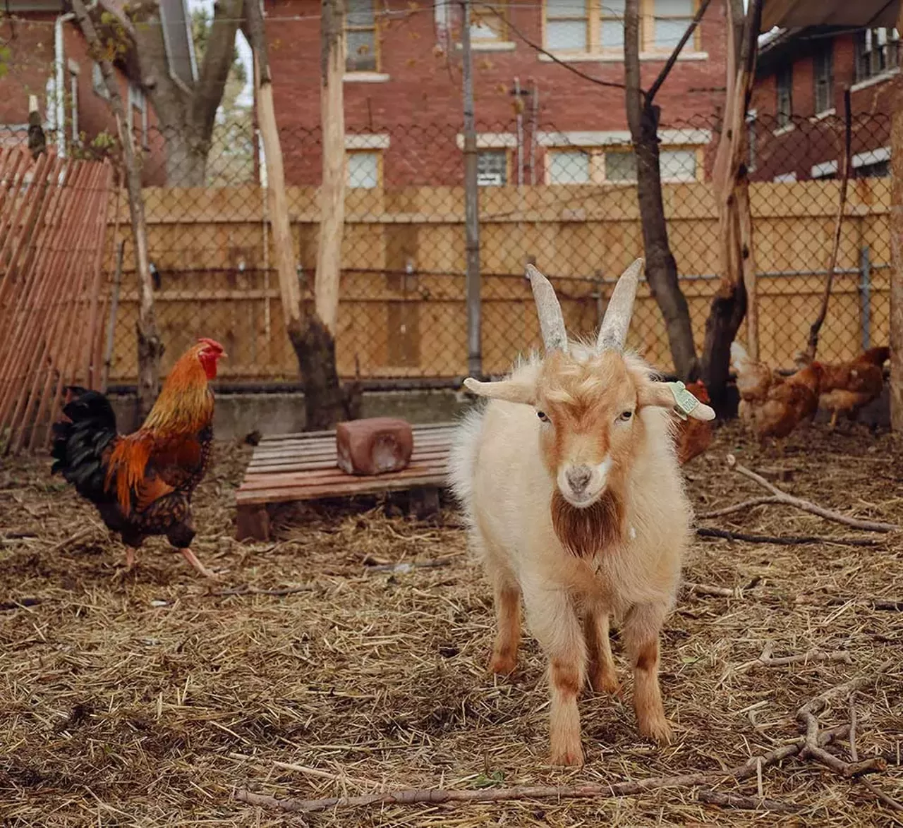 Image: Photos from Detroit Farm and Cider