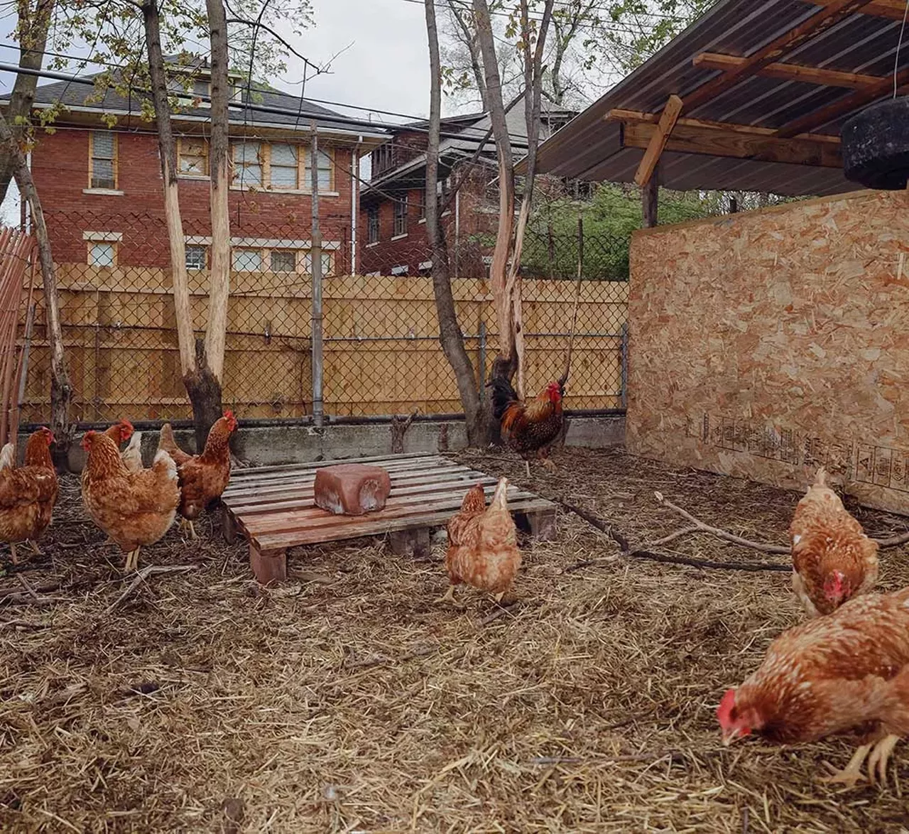 Image: Photos from Detroit Farm and Cider