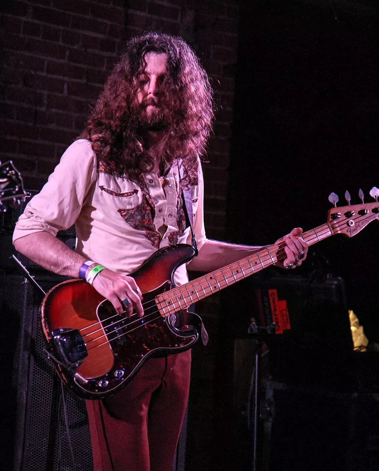 Image: PHOTOS: Sheepdogs at the Shelter