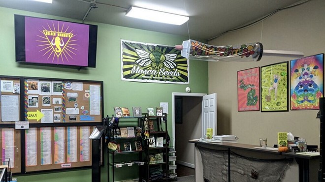 Seed Cellar in Jackson sells about 3,000 cannabis strains from 80 different breeders.