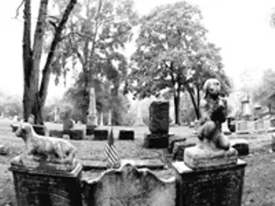 Image: Readers' Picks - Community Chest