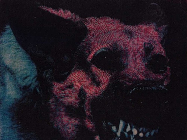 Record review: Protomartyr — Under Color of Official Right