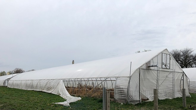 On a recent visit, Metro Times found six of the eight hoop houses were empty, filled with dead vegetation and some trash, their plastic walls torn open.