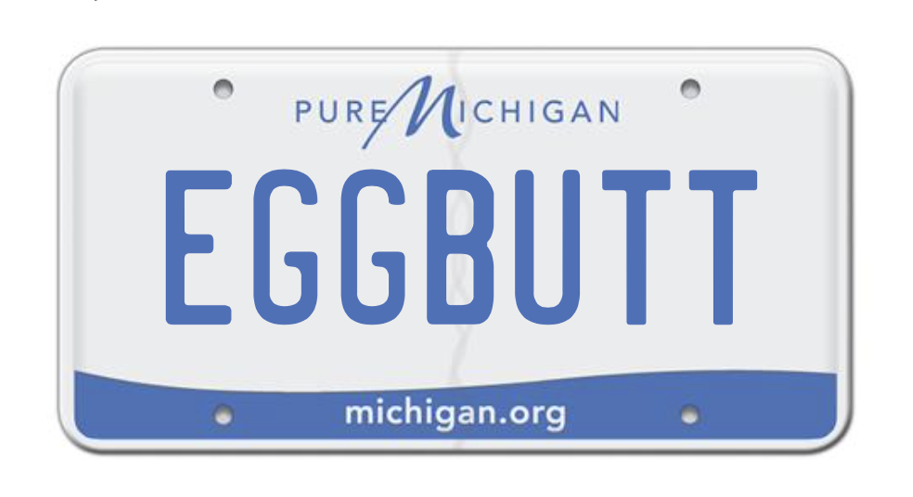 Rejected Michigan license plates from 2023 and earlier [NSFW]