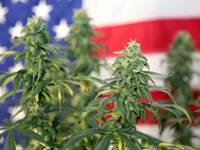 President Joe Biden directed his administration to reconsider marijuana's classification as a Schedule 1 drug.