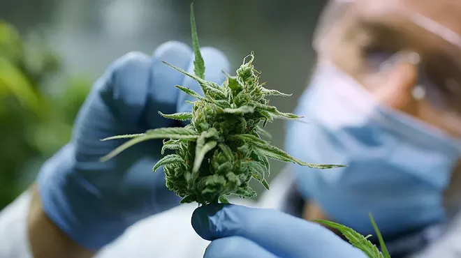 “As research continues and more funding becomes available, the sky’s the limit on what cannabinoids will find and how they respond to the body and the mind,” Robert Dodge, owner and CEO of Ubaked, tells Metro Times.