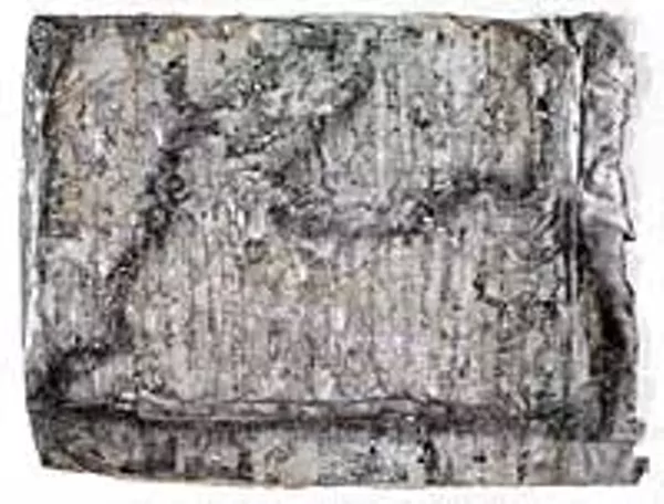 Revolutionary rabbits