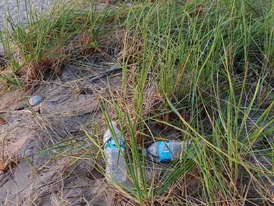 Image: Seven Great Lakes communities collaborate on cleanup effort