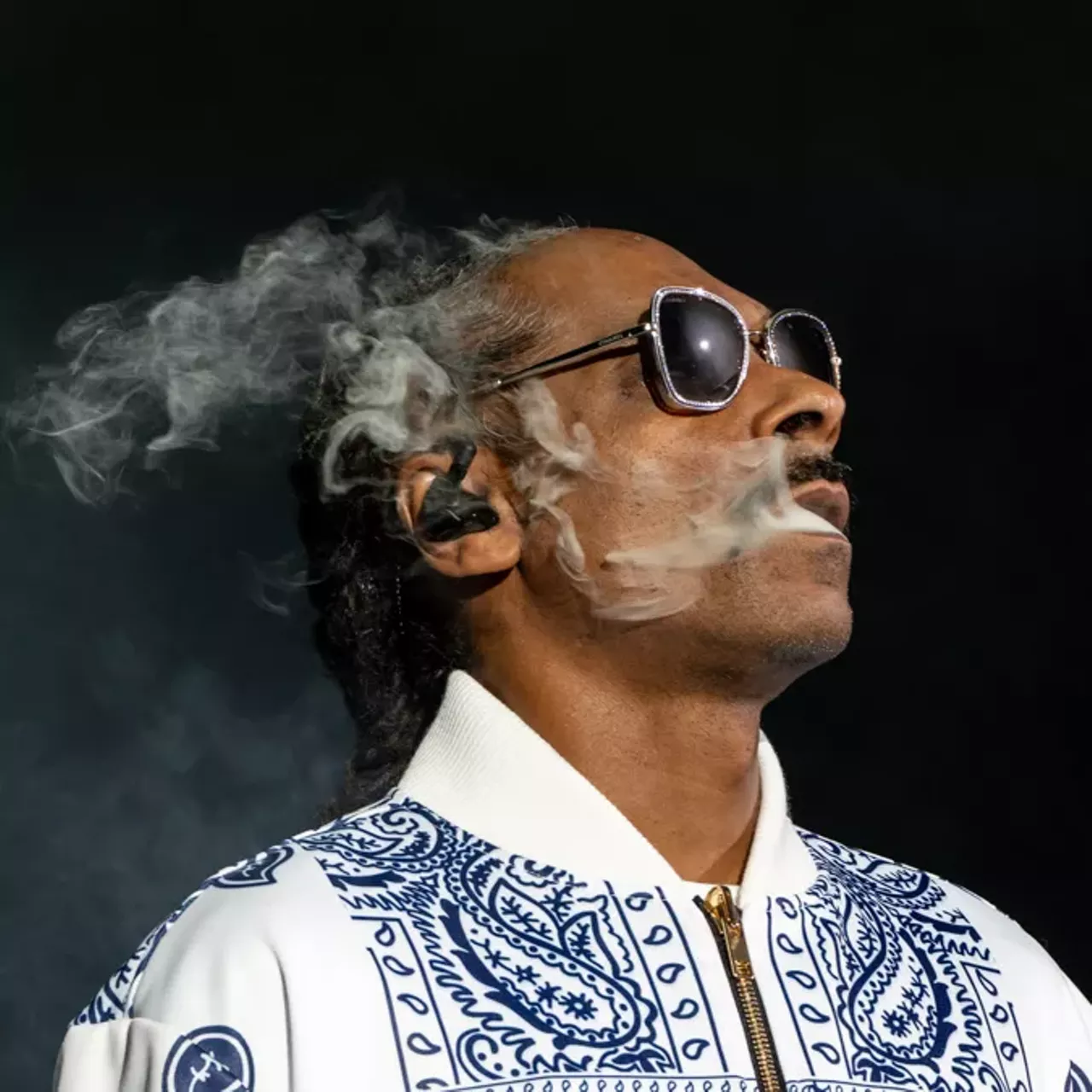 Image: Snoop Dogg and fans lit up Pine Knob