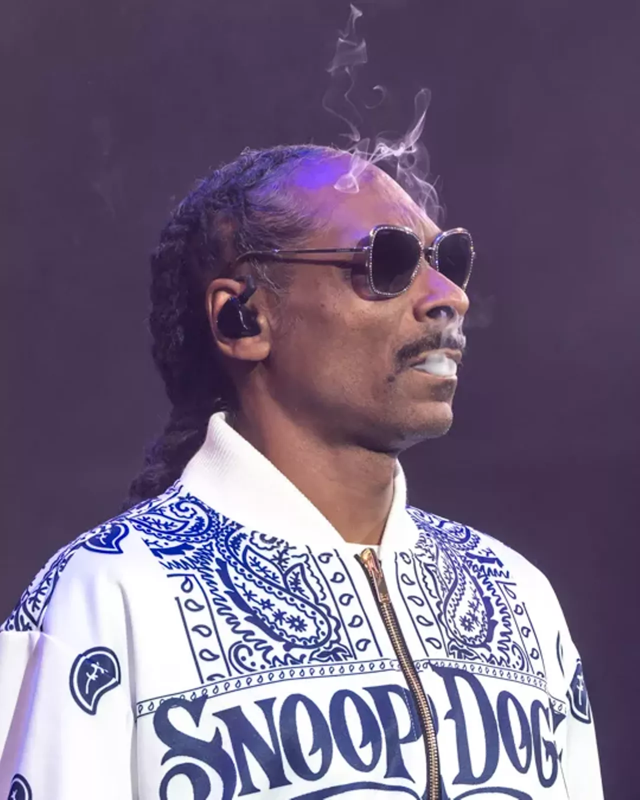 Snoop Dogg and fans lit up Pine Knob Detroit Detroit Metro Times