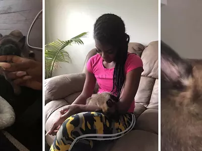 Image: Something's fishy about the story of the Detroit woman with a pet hyena in viral Facebook post