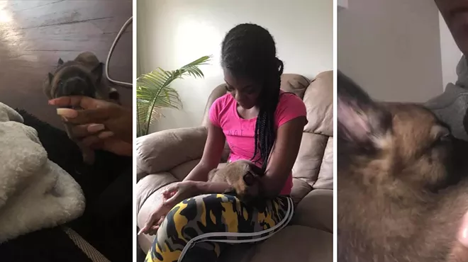 Image: Something's fishy about the story of the Detroit woman with a pet hyena in viral Facebook post